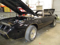 190222 79 Pontiac Trans Am (3).JPG